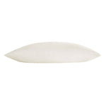 Allied Home Organic Cotton Cover Buckwheat Pillow