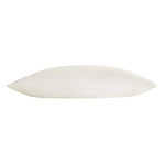 Allied Home Organic Cotton Cover Buckwheat Pillow