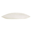 Allied Home Organic Cotton Cover Buckwheat Pillow