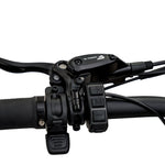 Favorite STORMX ST All-Terrain Fat Tire Ebike