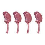 Near North Life BBQ Grilling Bundle