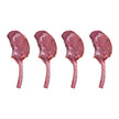Near North Life BBQ Grilling Bundle