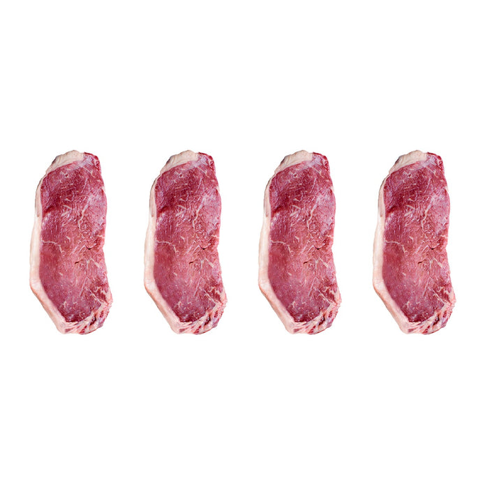 Near North Life BBQ Grilling Bundle
