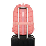 Swissgear 8172 Laptop Backpack