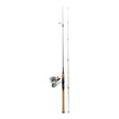 Daiwa Fishing Rod with Reel and Tackle Box