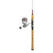 Daiwa Fishing Rod with Reel and Tackle Box