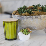 Sand + Fog Scented Candle, 57 oz.