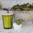 Sand + Fog Scented Candle, 57 oz.
