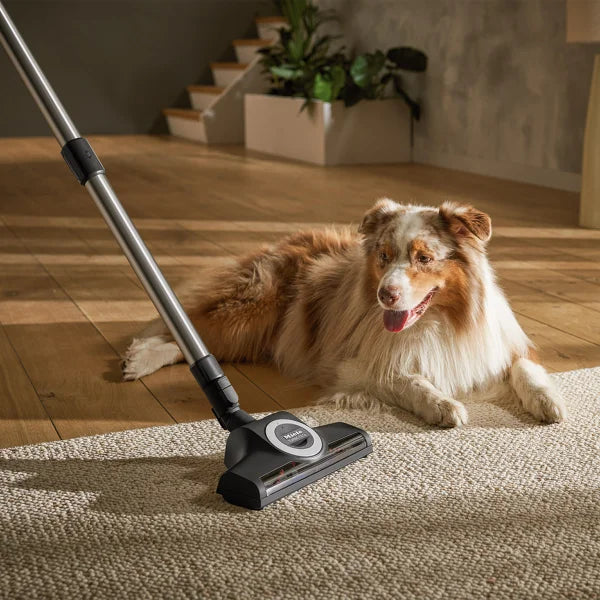 Miele Guard L1 Cat & Dog Plus Canister Vacuum