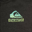 Quiksilver Boys and Roxy Girls Sherpa Lined Hoodie