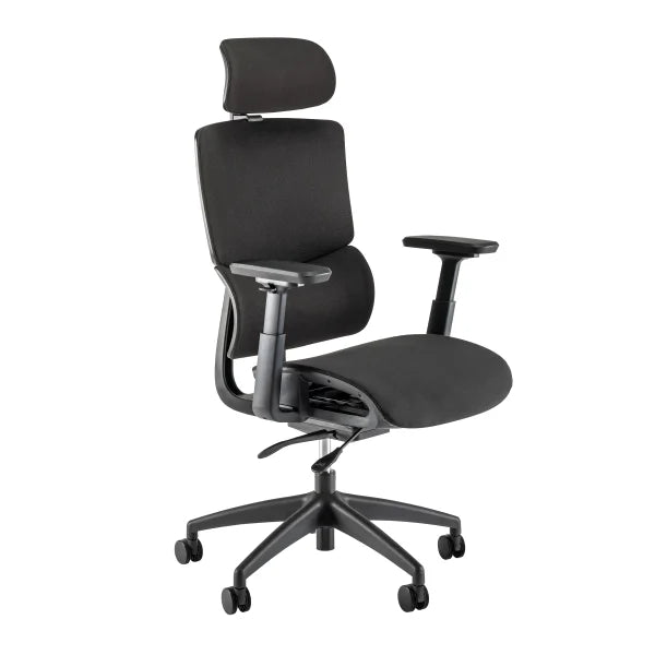 Align High Back Ergonomic Mesh Office Chair, Black