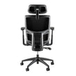 Align High Back Ergonomic Mesh Office Chair, Black