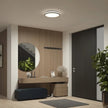 Artika Hemisphere Flush Mount Light