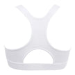 Under Armour Women's Sports Bra