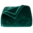 Royal Velvet Plush Throw