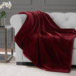 Royal Velvet Plush Throw