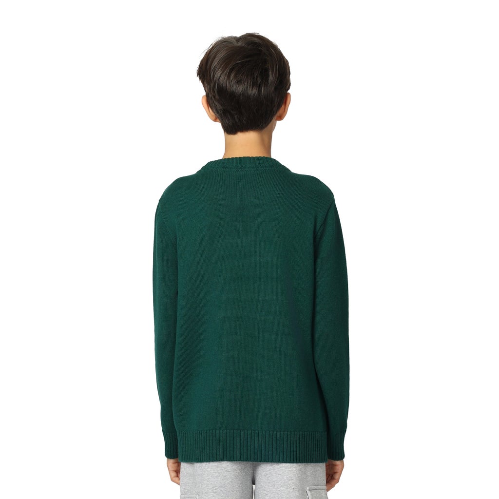 Tommy Hilfiger Boys Crewneck Sweater