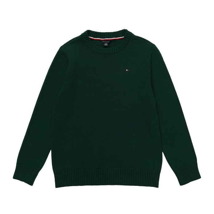 Tommy Hilfiger Boys Crewneck Sweater