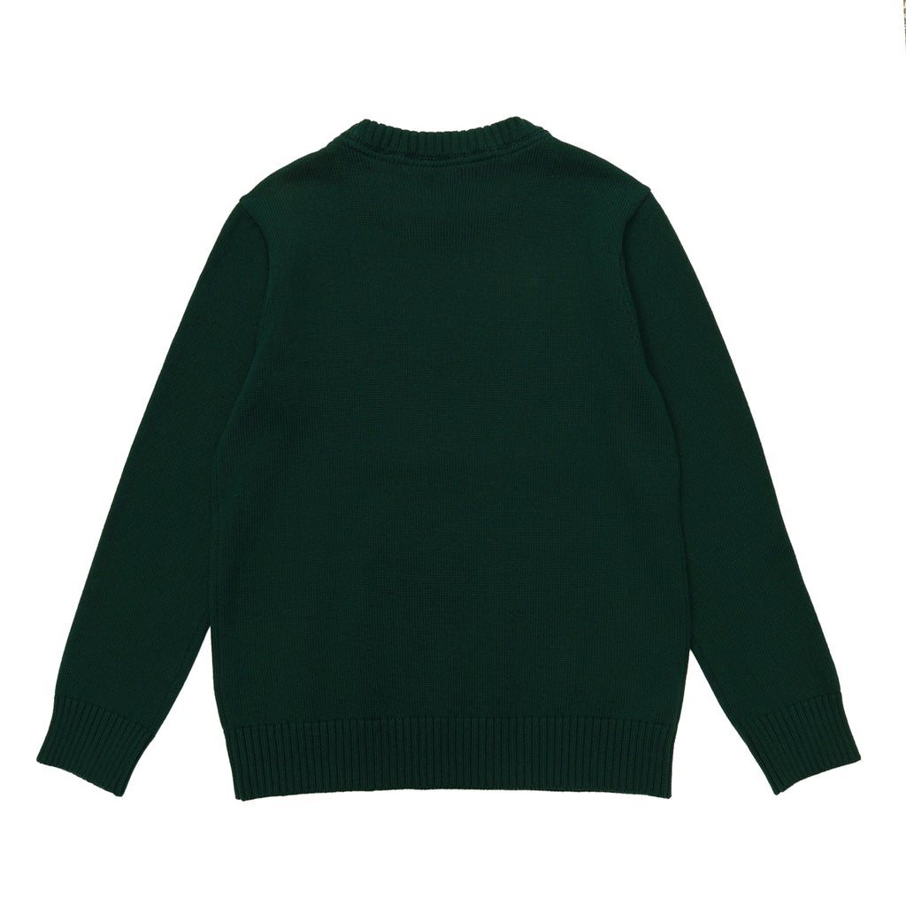 Tommy Hilfiger Boys Crewneck Sweater