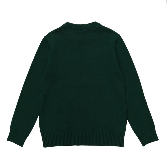 Tommy Hilfiger Boys Crewneck Sweater