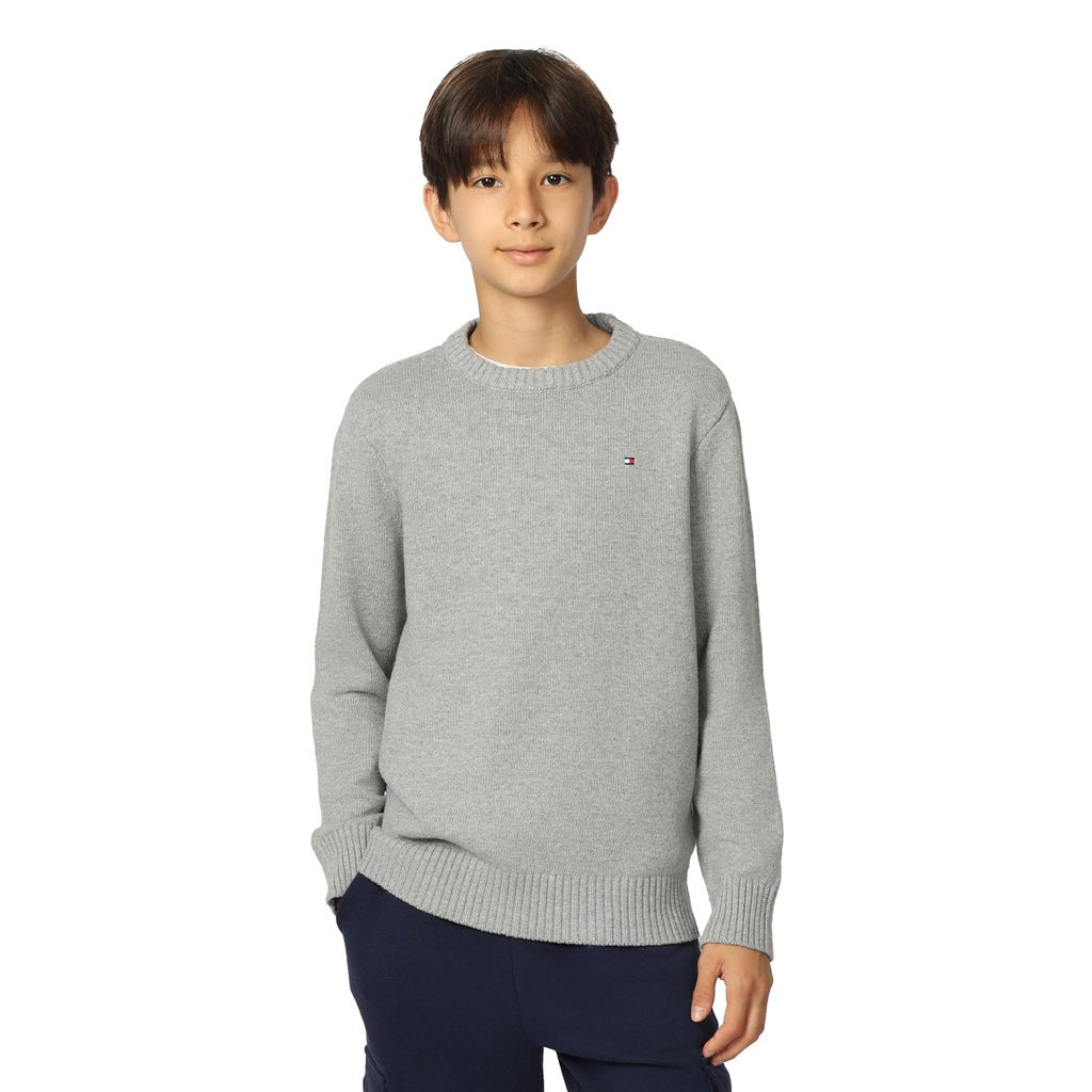 Tommy Hilfiger Boys Crewneck Sweater - Grey