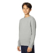 Tommy Hilfiger Boys Crewneck Sweater