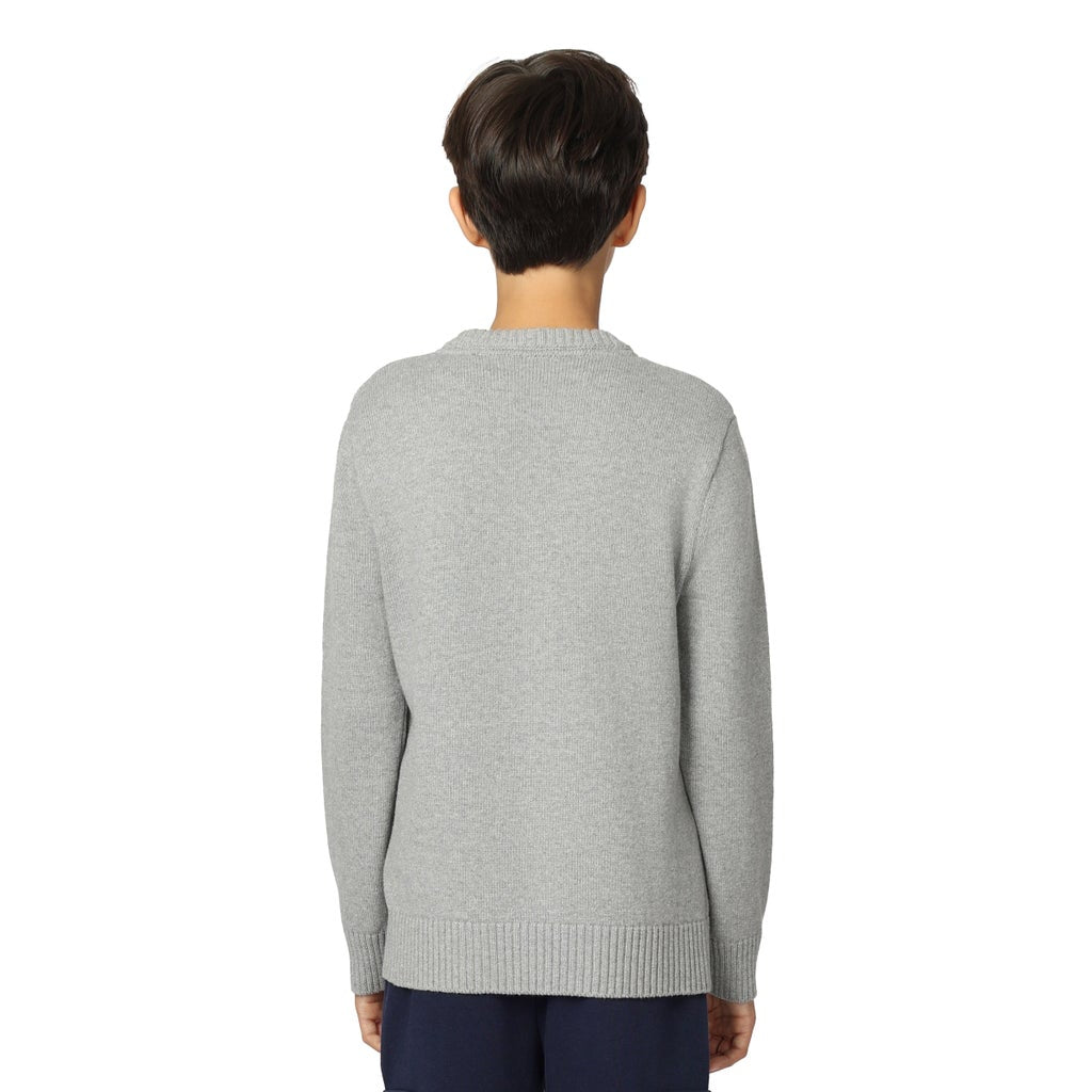 Tommy Hilfiger Boys Crewneck Sweater