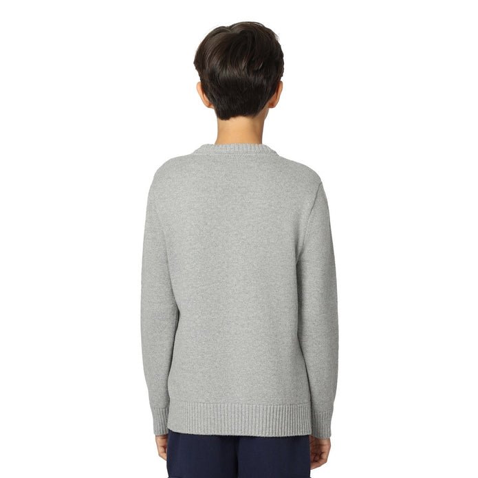 Tommy Hilfiger Boys Crewneck Sweater