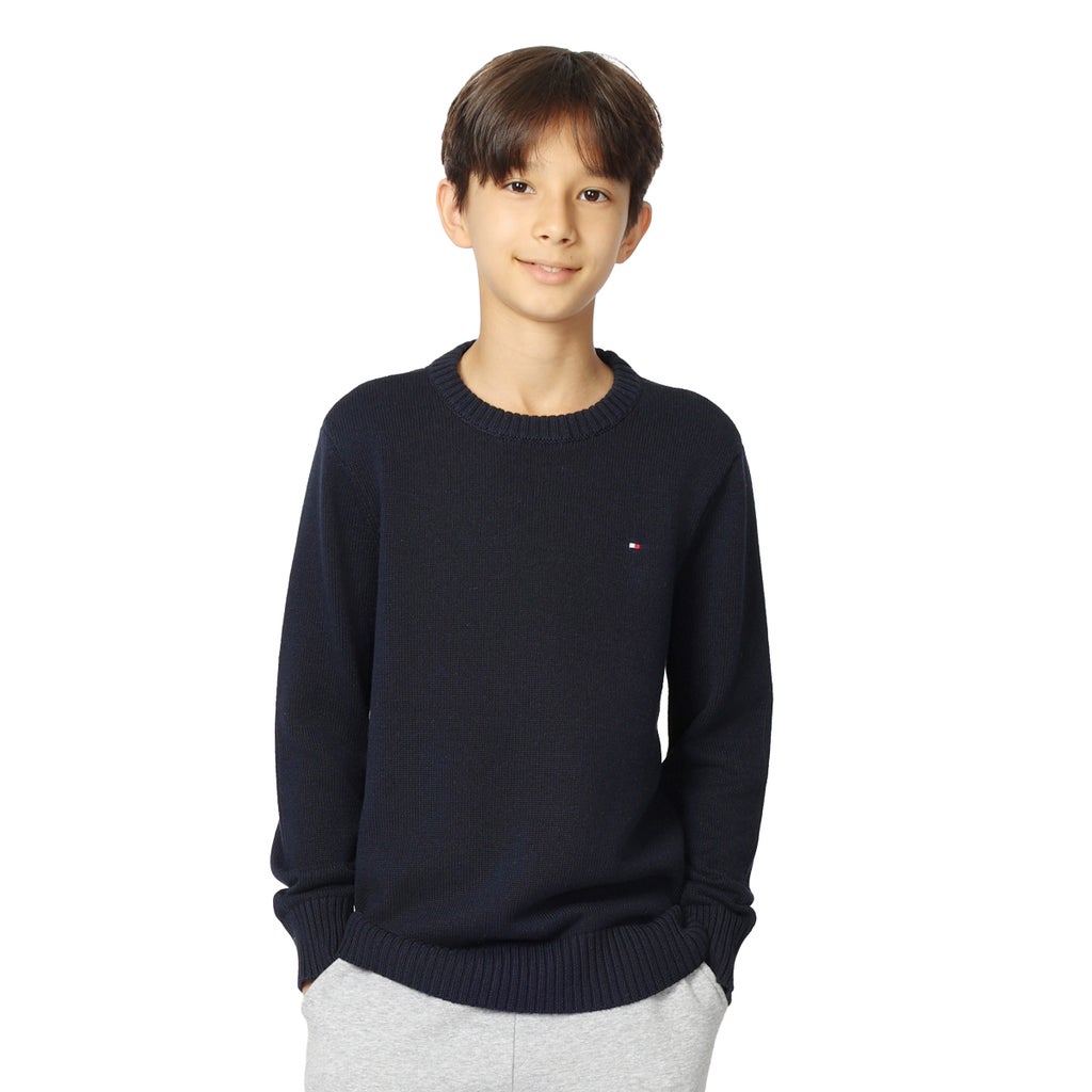 Tommy Hilfiger Boys Crewneck Sweater