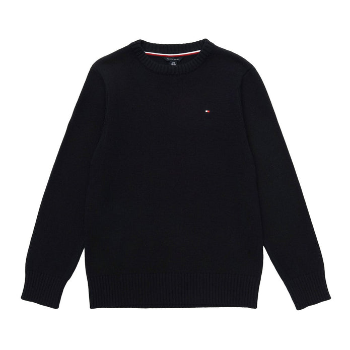 Tommy Hilfiger Boys Crewneck Sweater