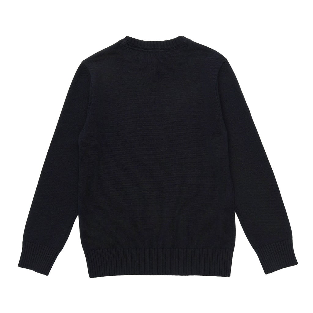 Tommy Hilfiger Boys Crewneck Sweater