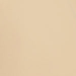 Gap Men's Chino Pant
