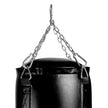 Everlast Powerlock Heavy Bag
