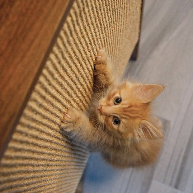 4 Cats & Dogs Wesley Wall-Mounted Cat Scratcher with Shelf