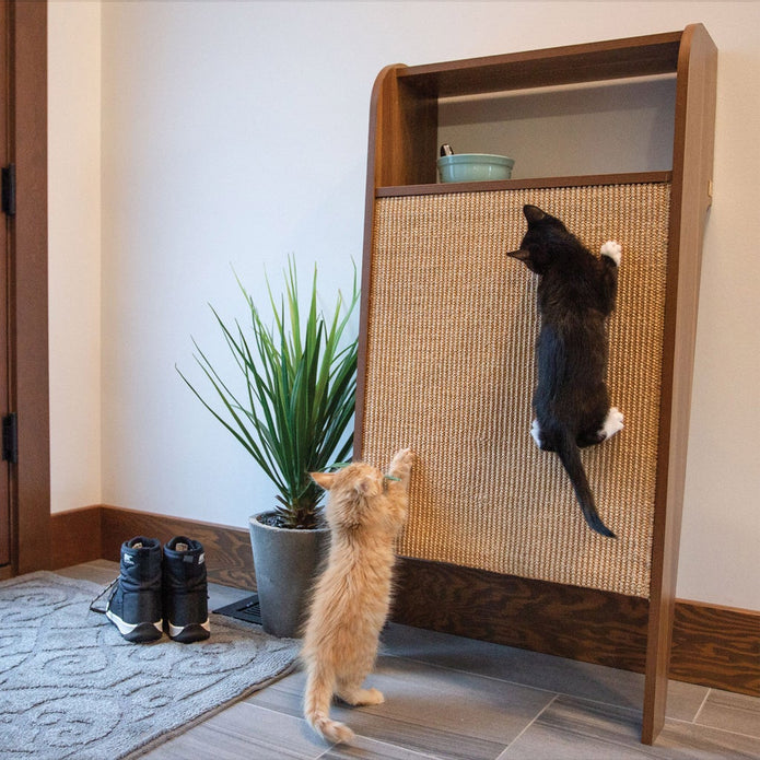 4 Cats & Dogs Wesley Wall-Mounted Cat Scratcher with Shelf