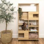 4 Cats & Dogs Clifford Functional Display Shelf with Integrated Cat Perches