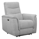 Sealy Jann Grey Power Recliner