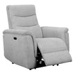 Sealy Jann Grey Power Recliner