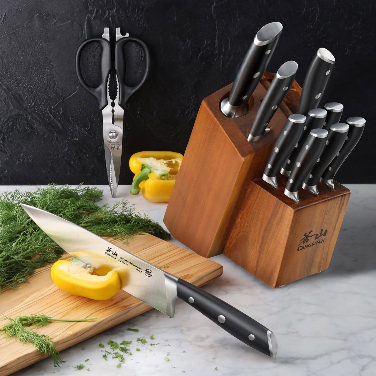 Cangshan Alps Series German Steel Forged Knife Set, 12-piece