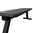 Centr Power Series FWB1 Flat Weight Bench