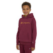 Champion Kids’ Pullover Hoodie