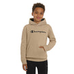 Champion Kids’ Pullover Hoodie - Tan