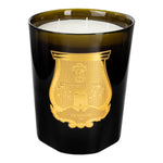 Trudon Ernesto Leather and Tobacco Candle, 2.8 kg (98.8 oz.)