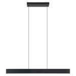 Eglo Andreas Linear Pendant