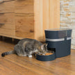 PetSafe Smart Feed Automatic Dog and Cat Pet Feeder