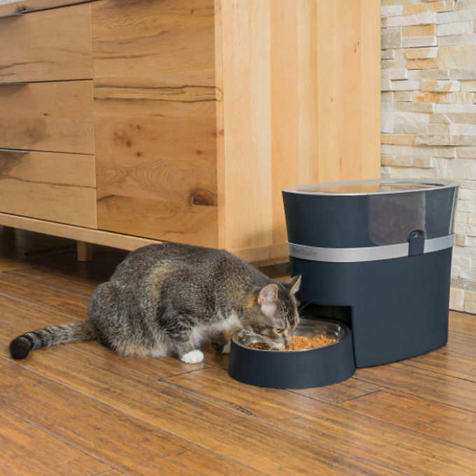 PetSafe Smart Feed Automatic Dog and Cat Pet Feeder