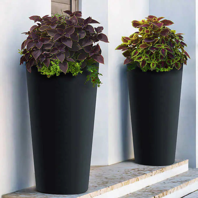 Terrace Tall 76.2 cm (30 in.) Self-Watering Planter, 2-pack
