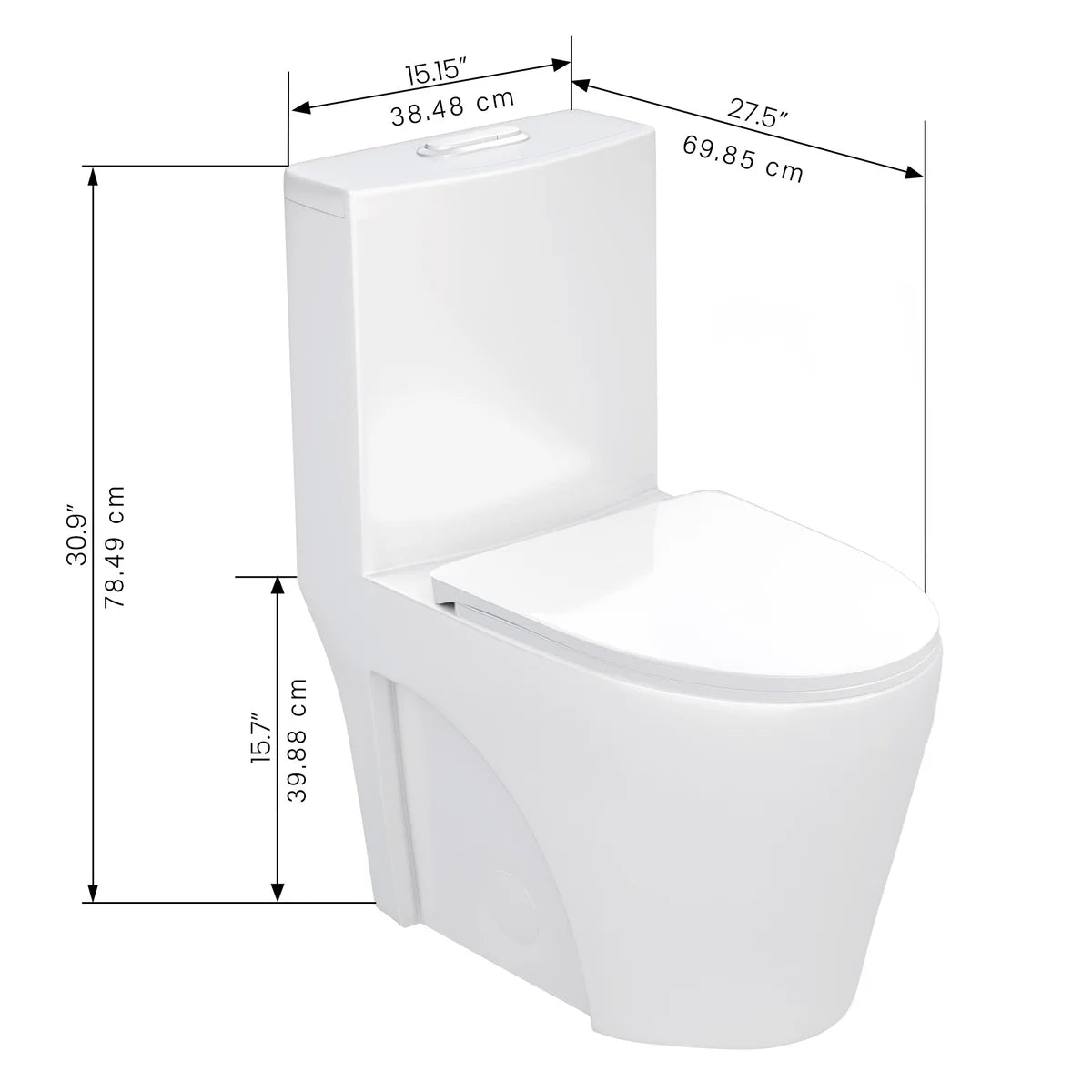 Agua Canada Tyrone 1-piece Dual Flush Toilet