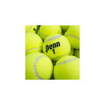 Penn Championship Tennis Ball, 60 Balls