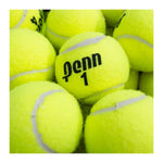 Penn Championship Tennis Ball, 60 Balls